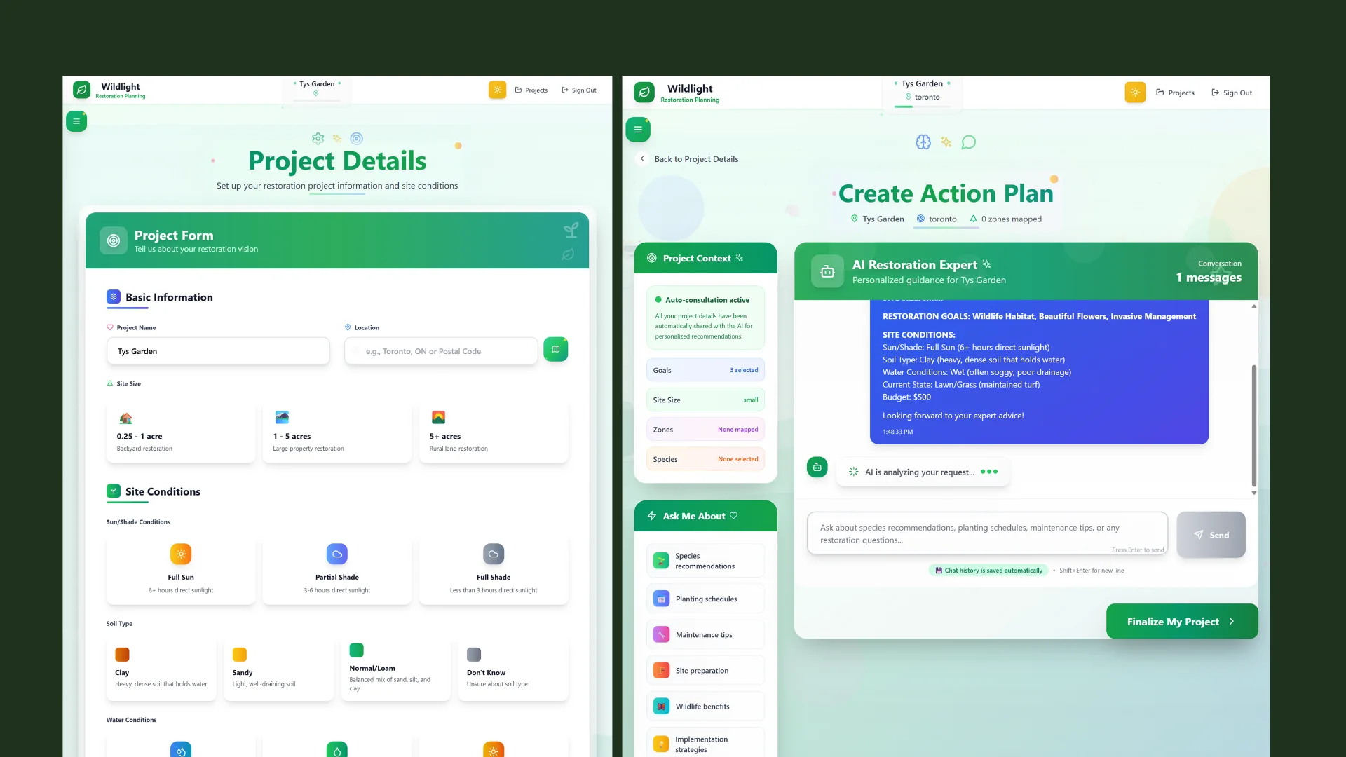 The original Wildlight concept: a long project details form on the left and the AI action plan on the right