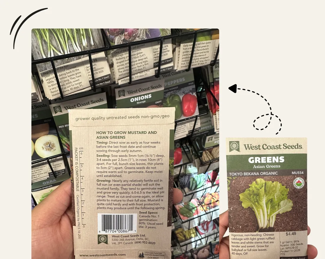 A hand holding a seed packet at the nursery, with growing details printed on the back
